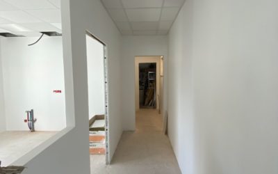 Pose de cloison à Colmar : intégrer l’isolation phonique pour un habitat plus serein